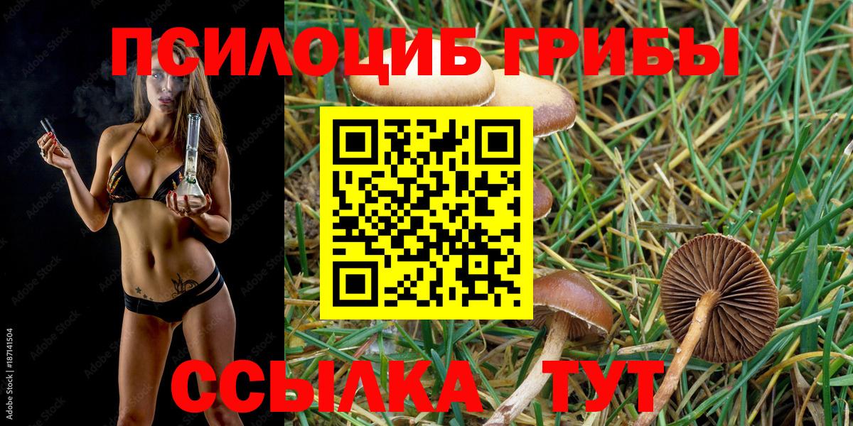 Псилоцибиновые грибы Psilocybine cubensis  купить наркоту  Нижний Новгород  Псилоцибиновые грибы Magic Shrooms  Вход с VPN 